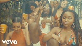 GOVANA – BAKE BEAN